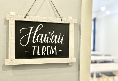 Oktatoterem-Hawaii-7.jpeg